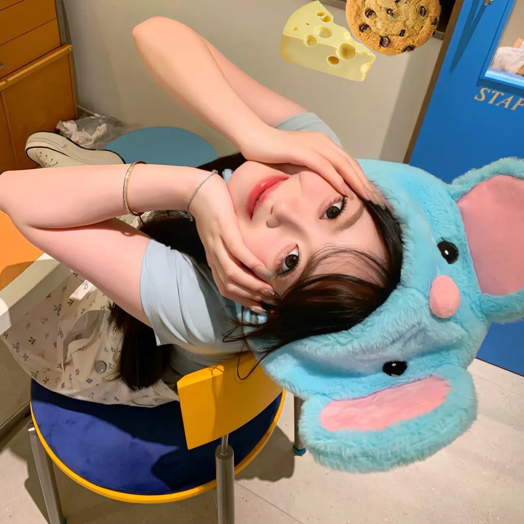 八面玲珑的申小姐